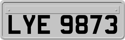 LYE9873