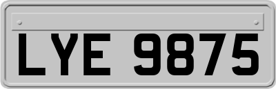 LYE9875