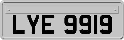 LYE9919