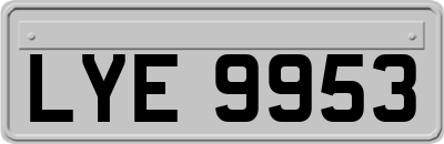 LYE9953