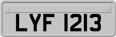 LYF1213