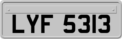 LYF5313