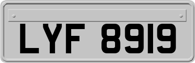 LYF8919