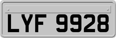 LYF9928