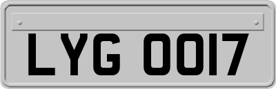 LYG0017