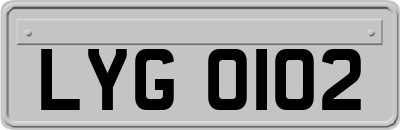 LYG0102