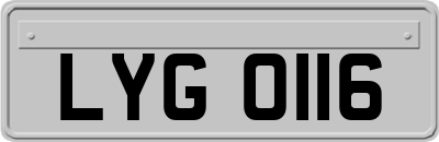 LYG0116