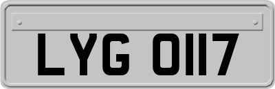 LYG0117
