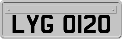 LYG0120