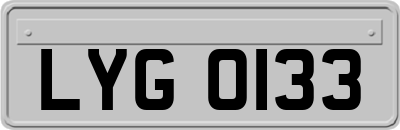 LYG0133