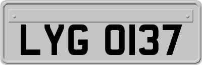 LYG0137