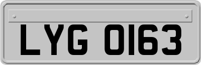 LYG0163