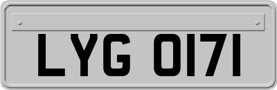 LYG0171