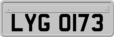 LYG0173