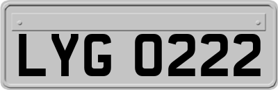 LYG0222