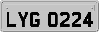 LYG0224