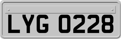 LYG0228