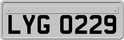 LYG0229
