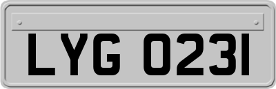 LYG0231