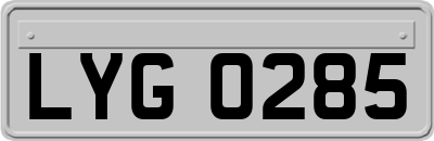 LYG0285