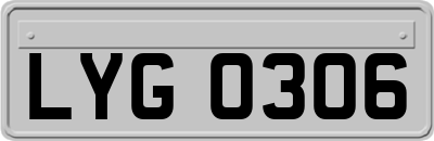 LYG0306