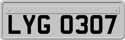 LYG0307