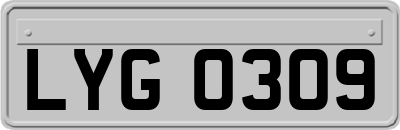 LYG0309