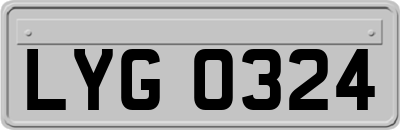 LYG0324