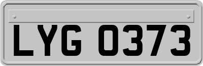 LYG0373