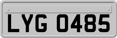 LYG0485