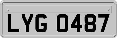 LYG0487