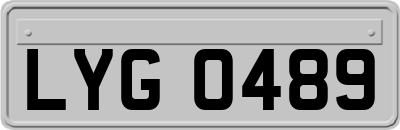 LYG0489