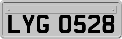 LYG0528