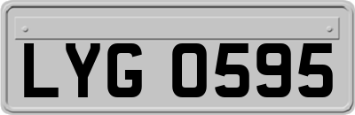 LYG0595