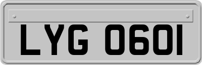 LYG0601