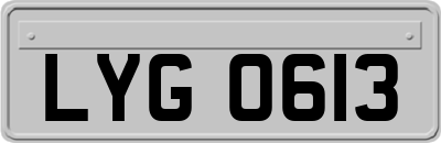 LYG0613