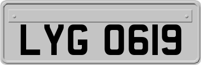 LYG0619