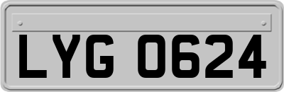 LYG0624