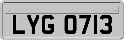 LYG0713