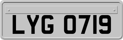 LYG0719