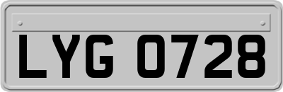 LYG0728