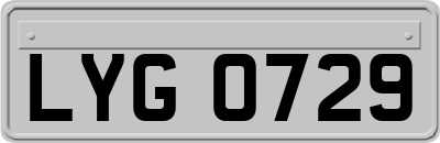 LYG0729