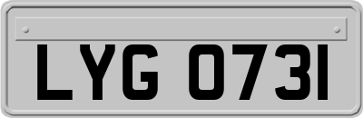LYG0731