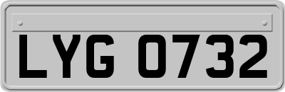 LYG0732