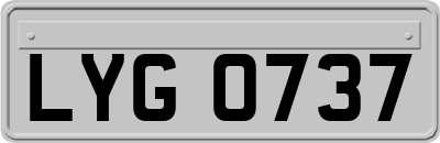 LYG0737