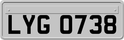 LYG0738