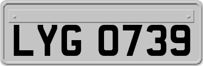 LYG0739
