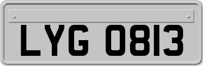 LYG0813