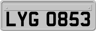 LYG0853