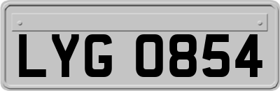 LYG0854